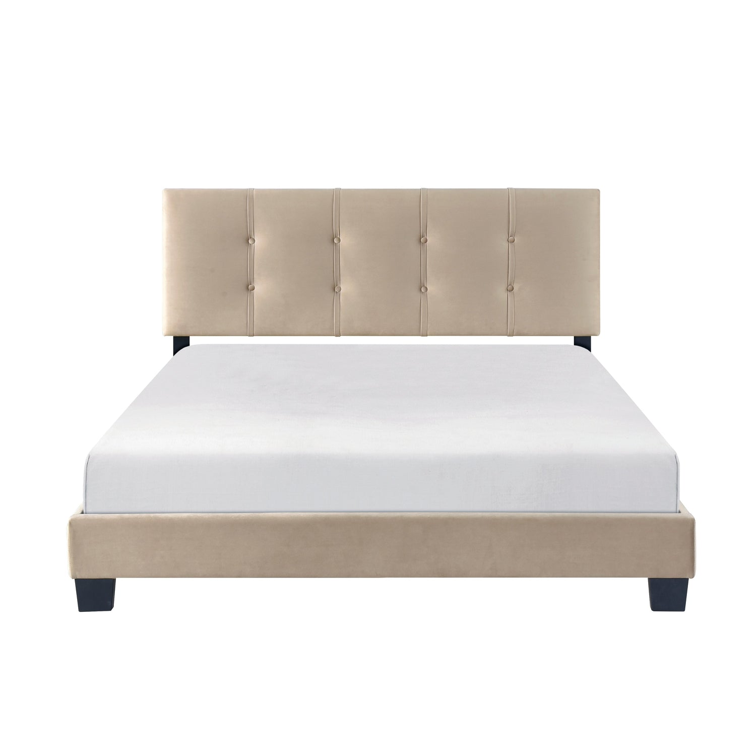Velvet Bed In a Box - Light Brown