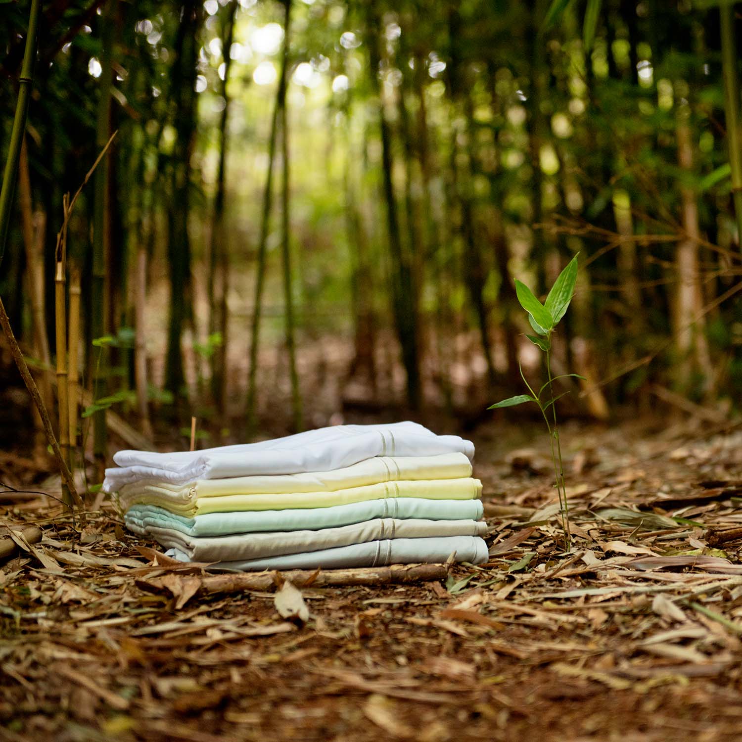 RAYON FROM BAMBOO